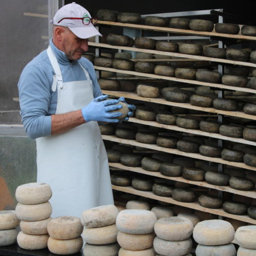 Food & Wine Retreat in Tuscany October 2026