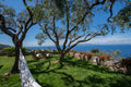 Summer Retreat in Tuscany 5-12 September 2027